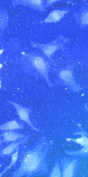 01_Icon_Web_Data_BG