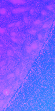 02_Icon_Web_Flexibility_BG