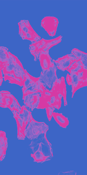 A24-Page_Spatial_Section_180x360_2 1 (1)