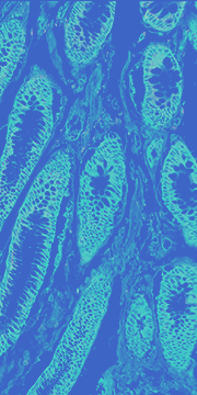 A24-Page_Spatial_Section_180x360_3 1 (1)